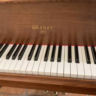 Sale Photo Thumbnail #5