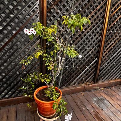 Sale Photo Thumbnail #42