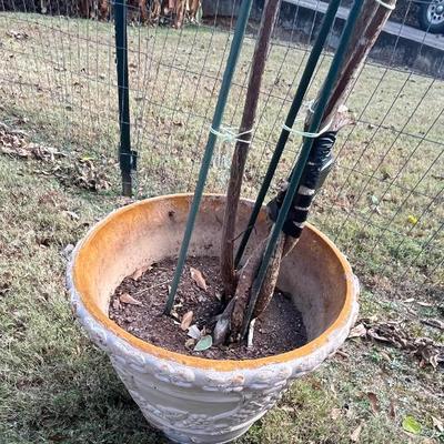 Sale Photo Thumbnail #242