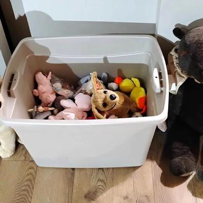 Large Plushies, Beanie Babies & More 