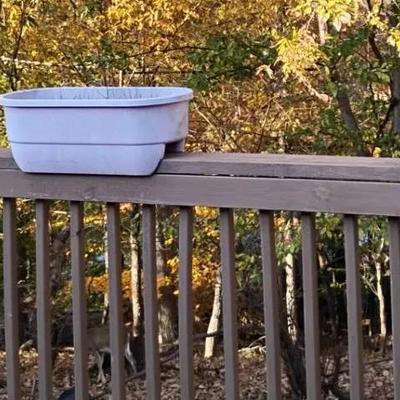 Three Plastic Planters 