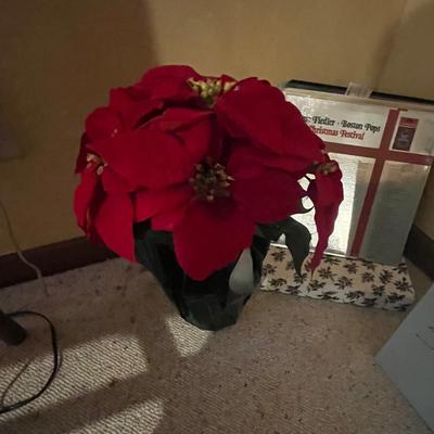 Sale Photo Thumbnail #435