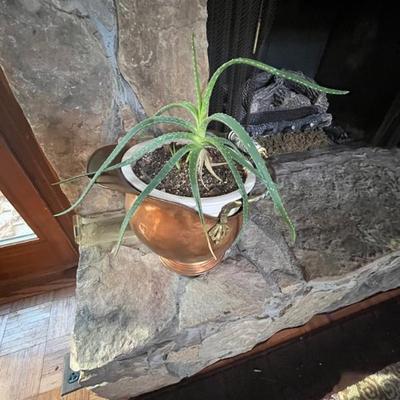 Sale Photo Thumbnail #44