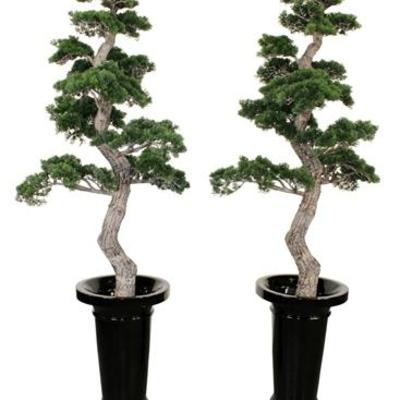 Sale Photo Thumbnail #266