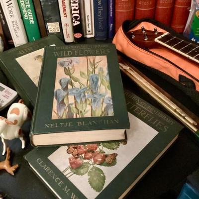 Sale Photo Thumbnail #109