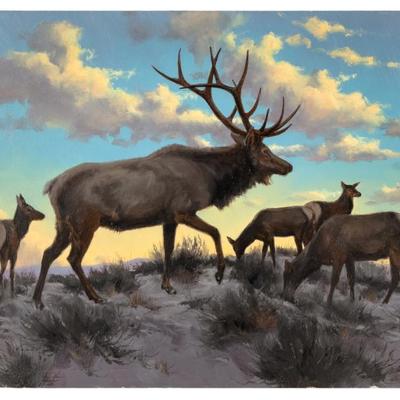 Sale Photo Thumbnail #399