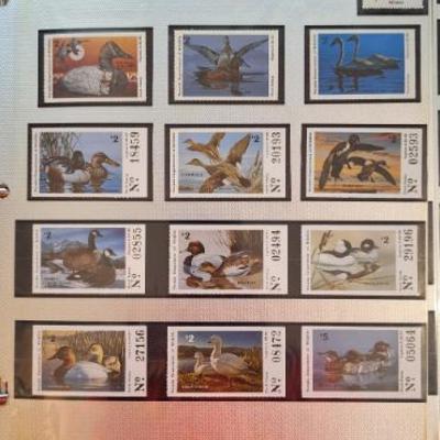 Sale Photo Thumbnail #256