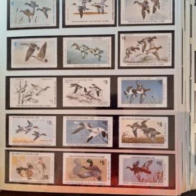 Sale Photo Thumbnail #236