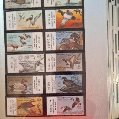 Sale Photo Thumbnail #240