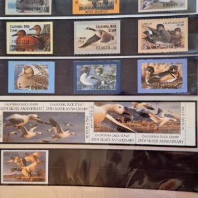 Sale Photo Thumbnail #235