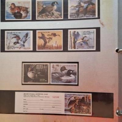 Sale Photo Thumbnail #248