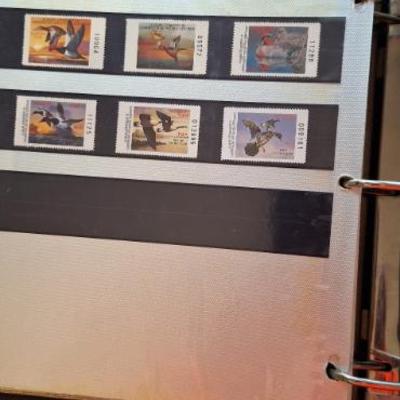 Sale Photo Thumbnail #252