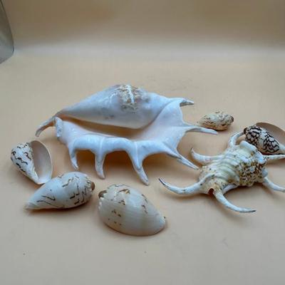 Sale Photo Thumbnail #227