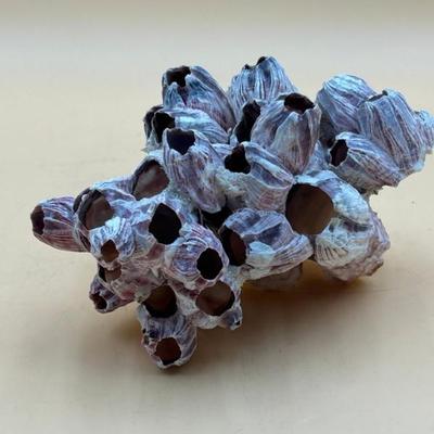 Sale Photo Thumbnail #228