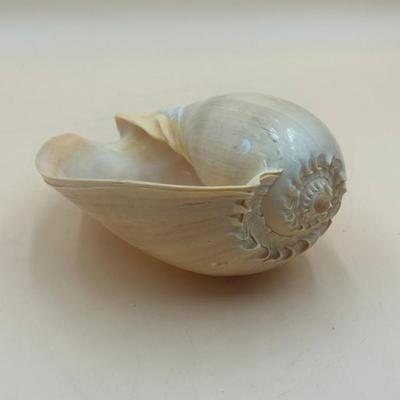 Sale Photo Thumbnail #241