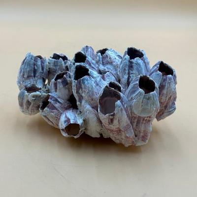 Sale Photo Thumbnail #229