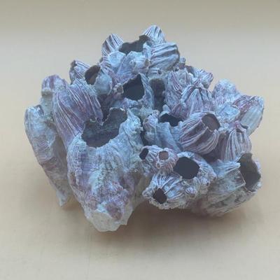 Sale Photo Thumbnail #230