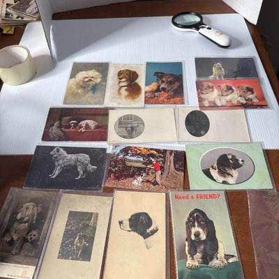 Sale Photo Thumbnail #584