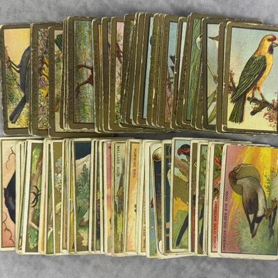 Sale Photo Thumbnail #283