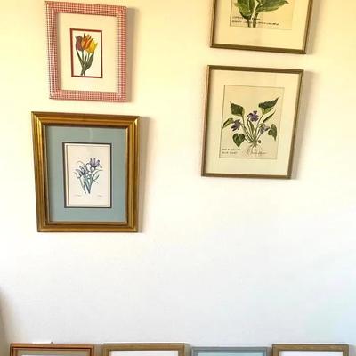 Vintage Botanical Art 