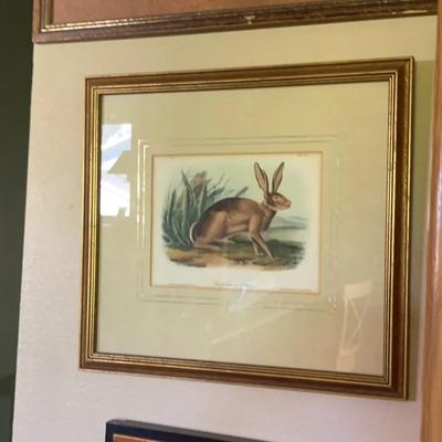 Wildlife Prints (3)