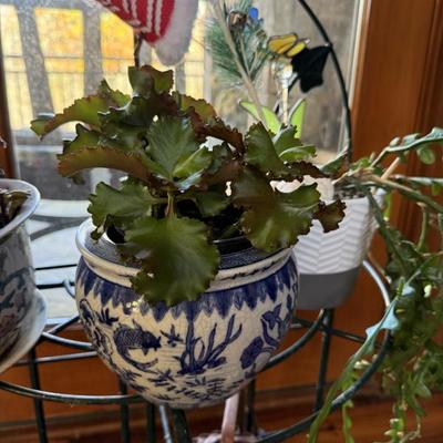 Sale Photo Thumbnail #69