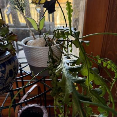 Sale Photo Thumbnail #68