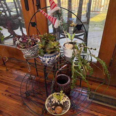 Sale Photo Thumbnail #223