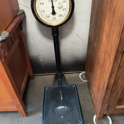 Sale Photo Thumbnail #321