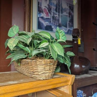 Sale Photo Thumbnail #235