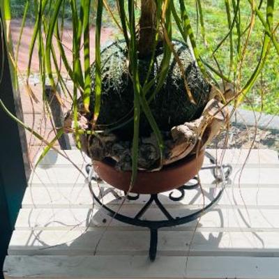 Sale Photo Thumbnail #34