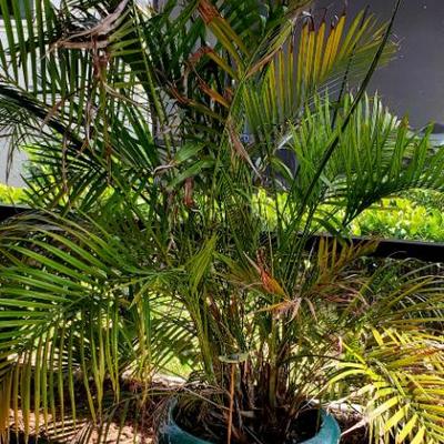 Sale Photo Thumbnail #20