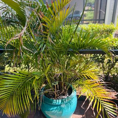 Sale Photo Thumbnail #31