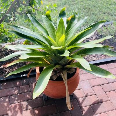 Sale Photo Thumbnail #62