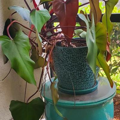 Sale Photo Thumbnail #23