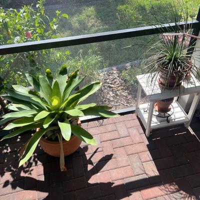 Sale Photo Thumbnail #32