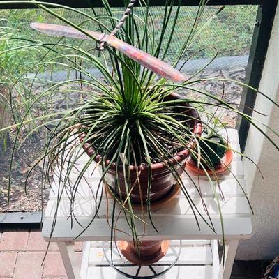 Sale Photo Thumbnail #61