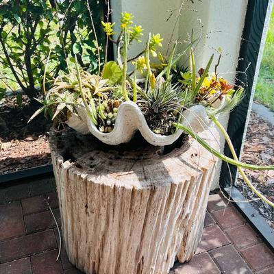 Sale Photo Thumbnail #63