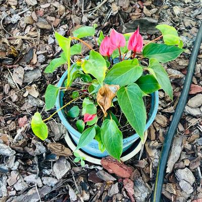 Sale Photo Thumbnail #46