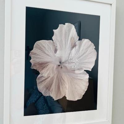 Sale Photo Thumbnail #82