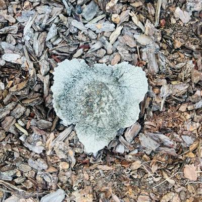 Sale Photo Thumbnail #42