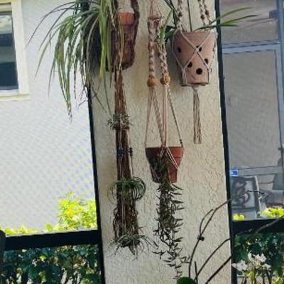 Sale Photo Thumbnail #29