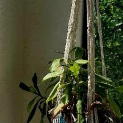 Sale Photo Thumbnail #19