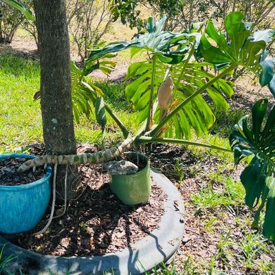 Sale Photo Thumbnail #38