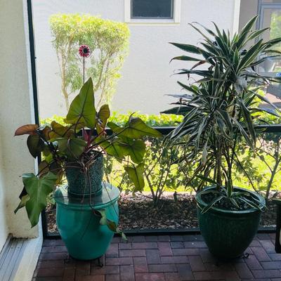 Sale Photo Thumbnail #28