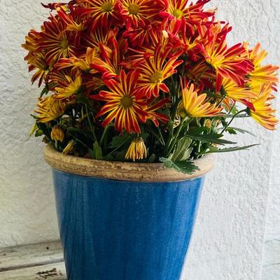 Sale Photo Thumbnail #48