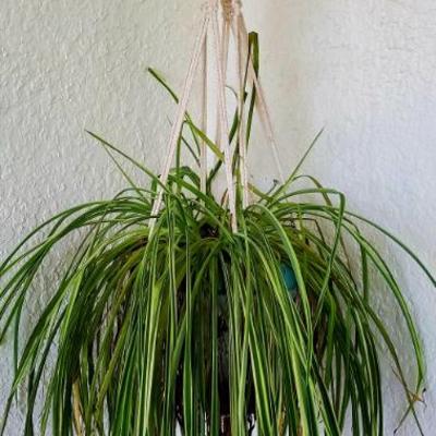 Sale Photo Thumbnail #24