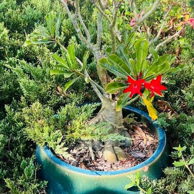 Sale Photo Thumbnail #37