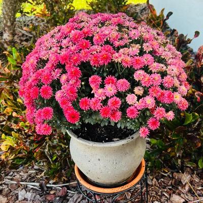 Sale Photo Thumbnail #45