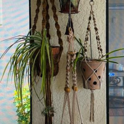 Sale Photo Thumbnail #68